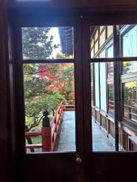 奈良秘境 · 春日山原始林城堡