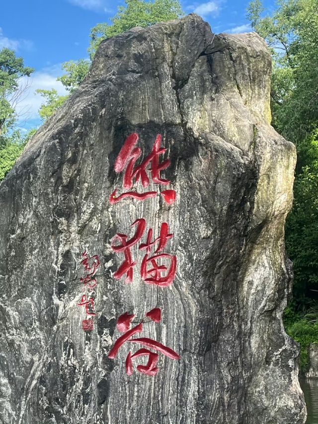 暑假帶小朋友千祈唔好就咁去都江堰熊貓谷