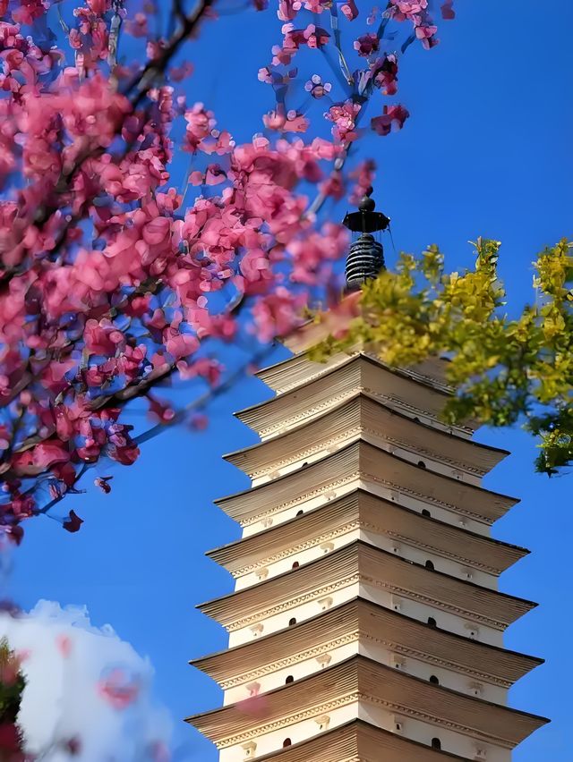 大理一日詩篇 | 讓風花雪月浸透你的時光