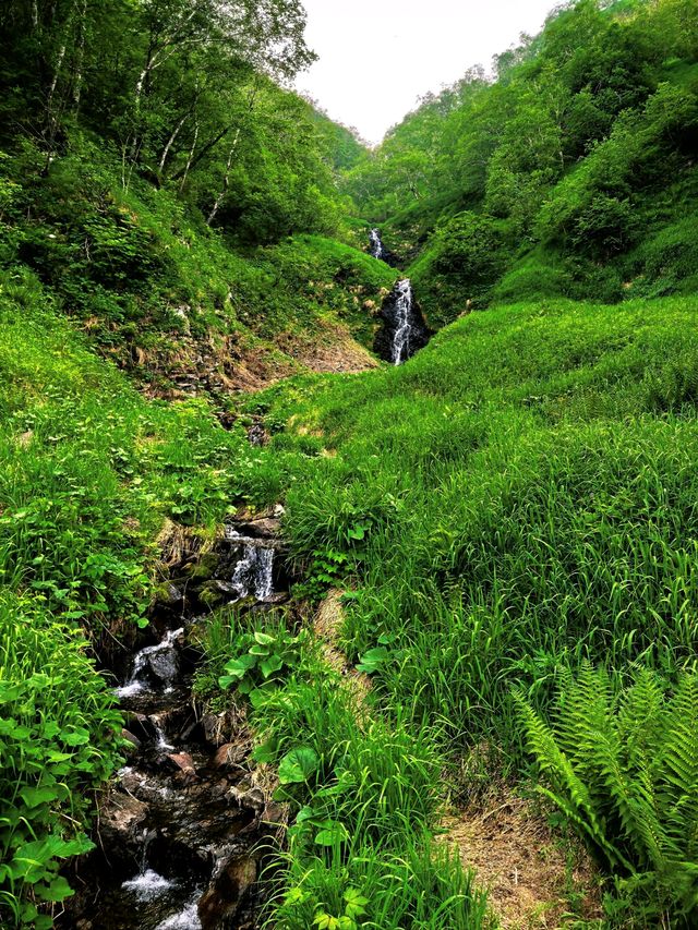 長白山親子避暑全攻略：20℃夏天一定要來這裡玩轉童話秘境