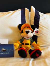 6D5N Family Cruise on Disney Wonder｜Australia–NZ Route Recap 🌊