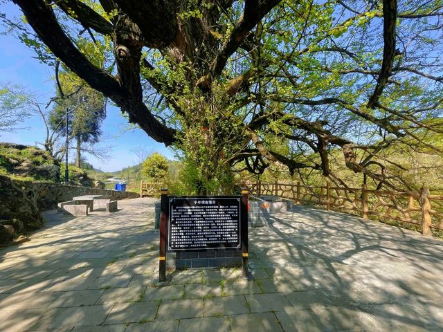 白雲白岩寨：600年布依隱世秘境