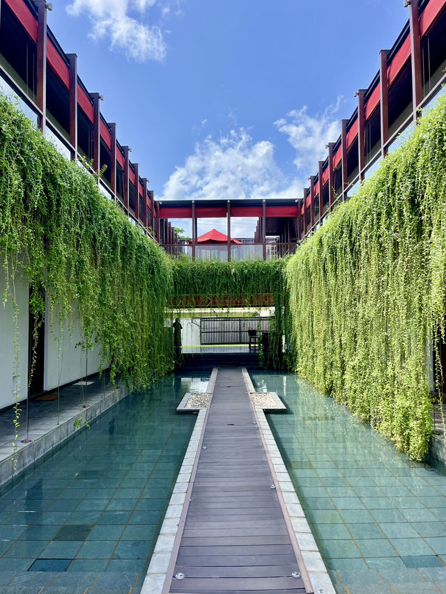Relaxing Stay at W15✨