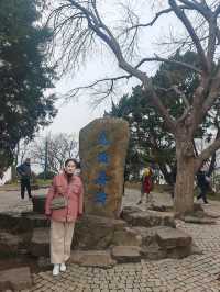 嘉善+嘉興+無錫 11日遊