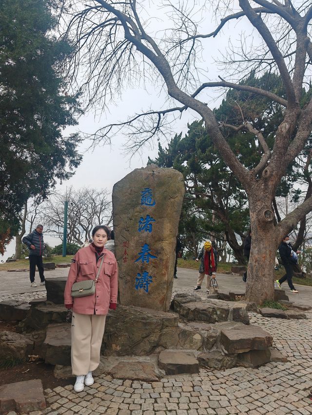 嘉善+嘉興+無錫 11日遊