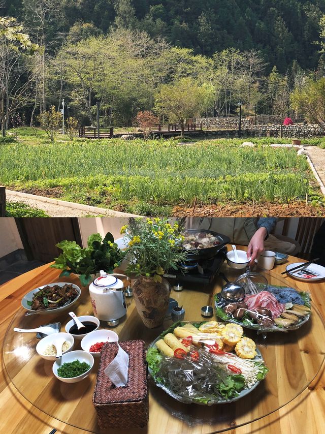 郴州23℃避暑秘境！溯溪漂流住森林木屋