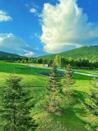 北海道Tomamu法式秘境