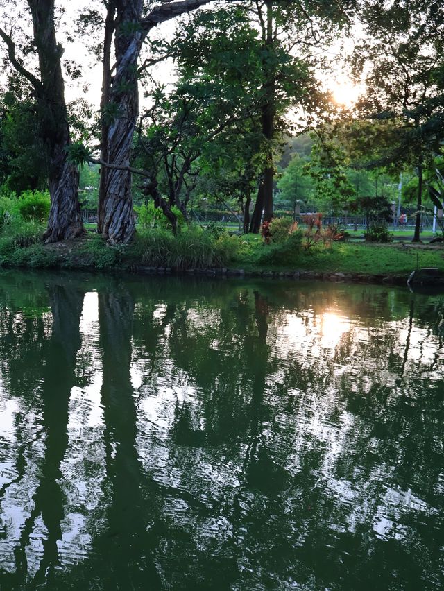 廣州旅遊本地人私藏的好去處—越秀公園～