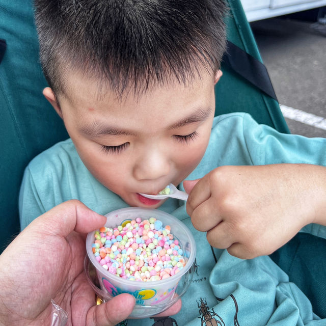 更適合4-8歲寶寶體質的日本LEGOLAND 更適合4-8歲寶寶體質的日本LEGOLAND