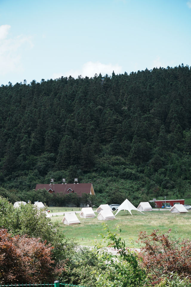 武隆仙女山｜住進深秋的隱世夢境，與星空草場共眠