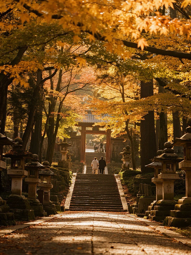 奈良秋日在楓色間收藏平安朝的遺韻 奈良秋日在楓色間收藏平安朝的遺韻