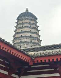 千年舍利朝聖之旅