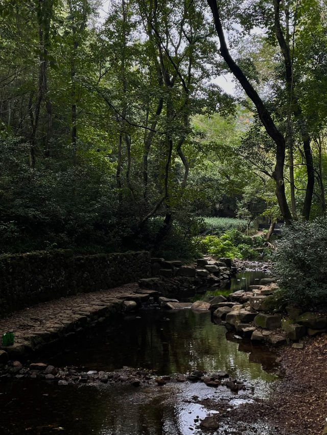 藏在九溪深處的千年禪意：理安寺漫遊記