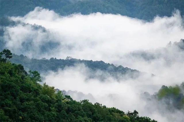普洱｜觀雲海倒數計時