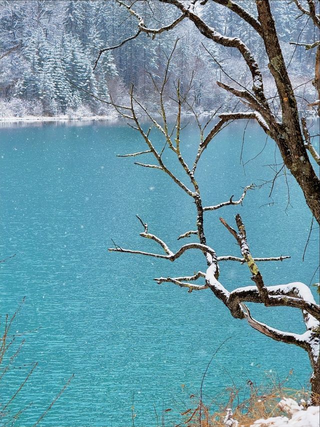 四姑娘山這波操作太浪漫！深秋的第一場雪美哭我