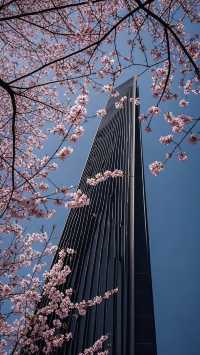 海陽花花山一日超值遊