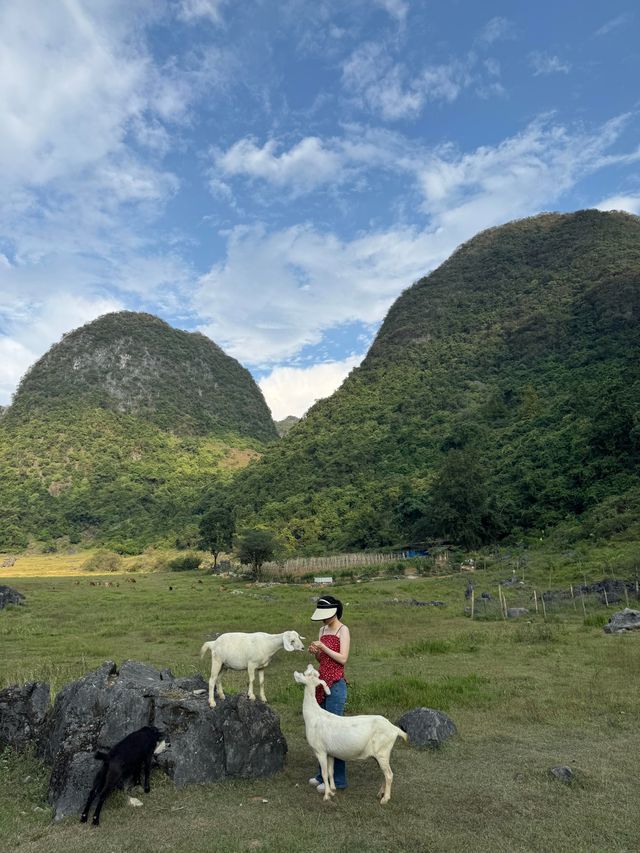 柳州鹿寨 廣西阿勒泰，無濾鏡直出，不踩雷!
