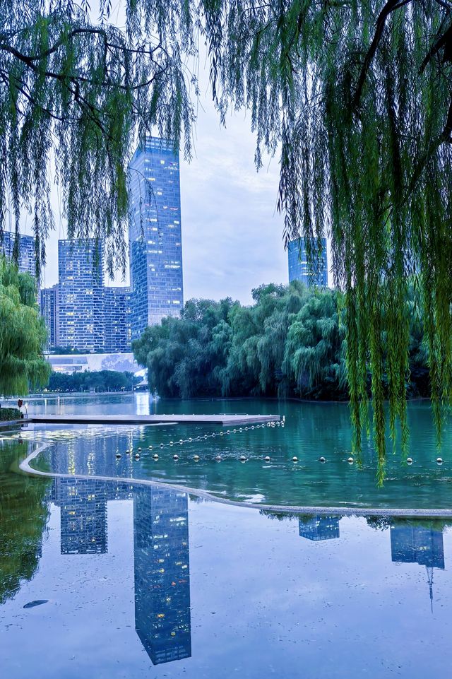 合肥天鵝湖｜暮色時分邂逅城市浪漫天際線