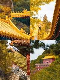 北京1.5h直達！乾隆32次踏足的仙山，秋日美成畫