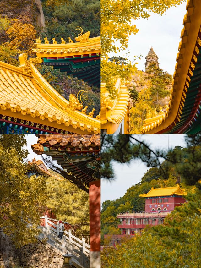 北京1.5h直達！乾隆32次踏足的仙山，秋日美成畫