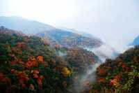 紅葉封神打卡地之四川南江光霧山