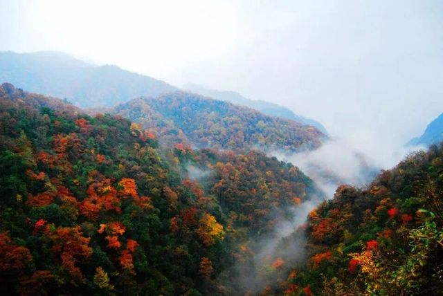 紅葉封神打卡地之四川南江光霧山