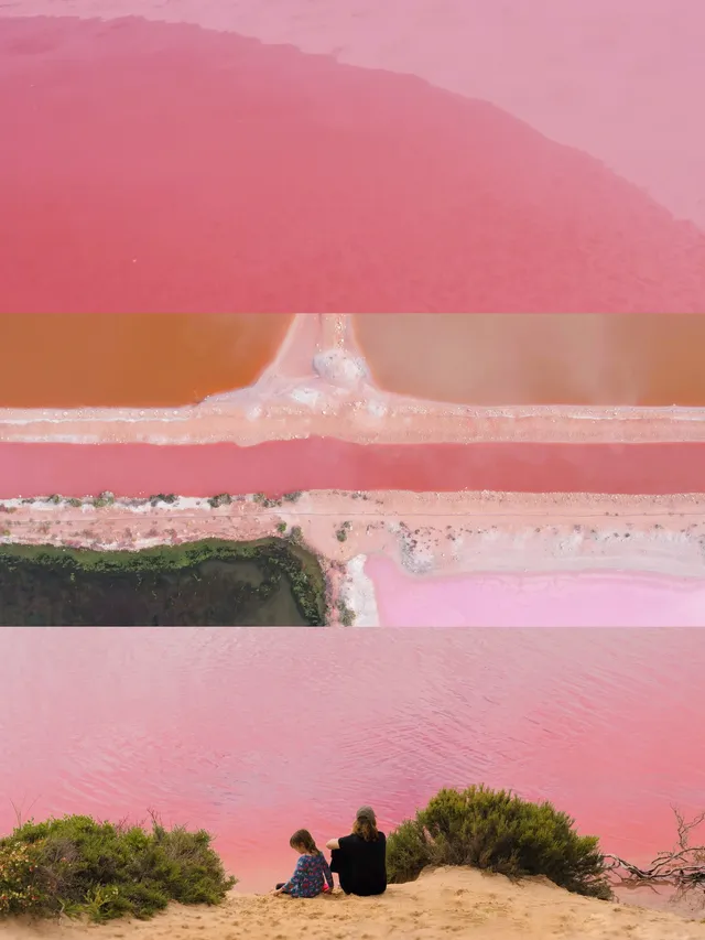 Hutt Lagoon |粉湖,又是跟著老周遊西澳的一 Hutt Lagoon |粉湖,又是跟著老周遊西澳的一