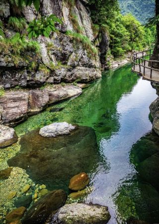 Exploring the Last Pure Land of East China | Enter the 25°C Summer Emerald Wonderland!