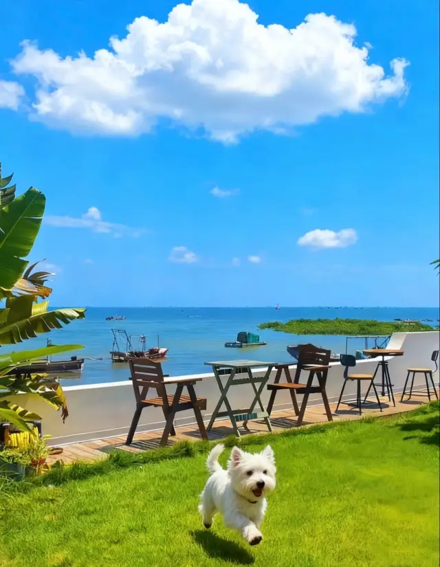 Fangchenggang, the Complete Guide to Checking in at Beigang Guli