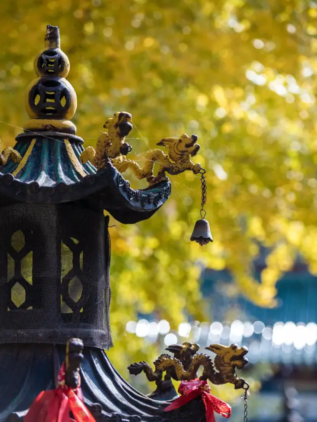 Wulao Peak · Autumn｜Yuncheng’s “Golden Ridge in the Clouds” is now open!