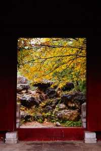 立冬的頤和園#北京的秋冬