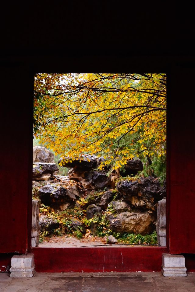 立冬的頤和園#北京的秋冬