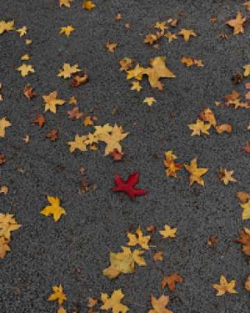 還得是西安的小香港啊!紡正街