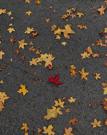 還得是西安的小香港啊!紡正街 還得是西安的小香港啊!紡正街