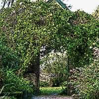 悉尼近郊絕美秘境封神了！