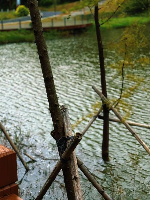 深圳人的小阿勒泰！恩上濕地公園太絕了