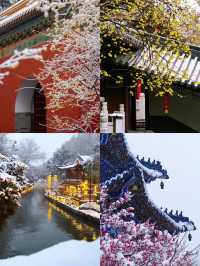 南京賞梅尋雪暴走攻略！12月錯過再等一年