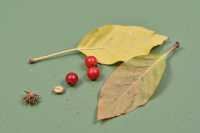 甘肅版九寨溝被我搵到喇！匿喺隴南嘅彩林秘境