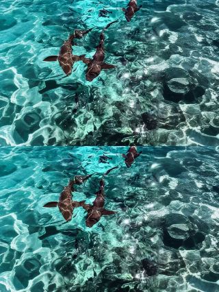 Maldives, once you arrive, you won’t want to leave