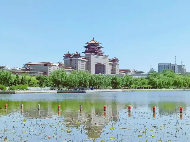北京西站旁的小眾秘境！蓮花池公園免費賞荷！