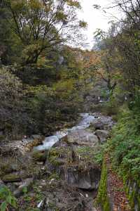 秦嶺留壩環線之情人谷