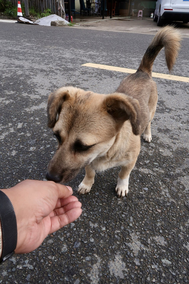 離天空很近的世外桃源小村莊
