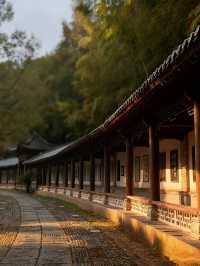 景德鎮剛回來,唯一沒踩雷超出預期的景點