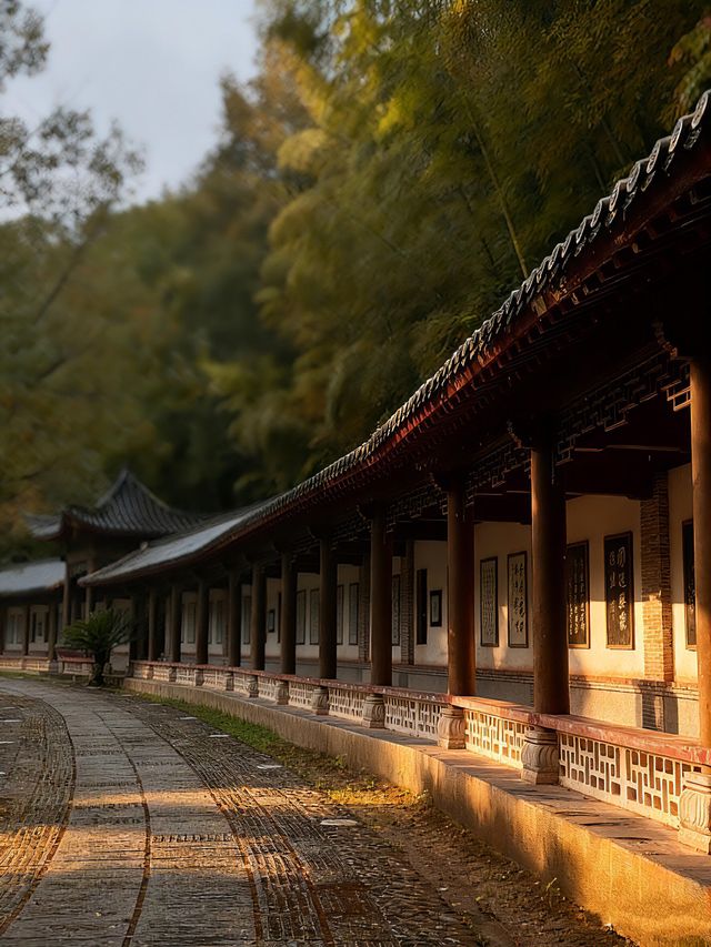 景德鎮剛回來,唯一沒踩雷超出預期的景點 景德鎮剛回來,唯一沒踩雷超出預期的景點