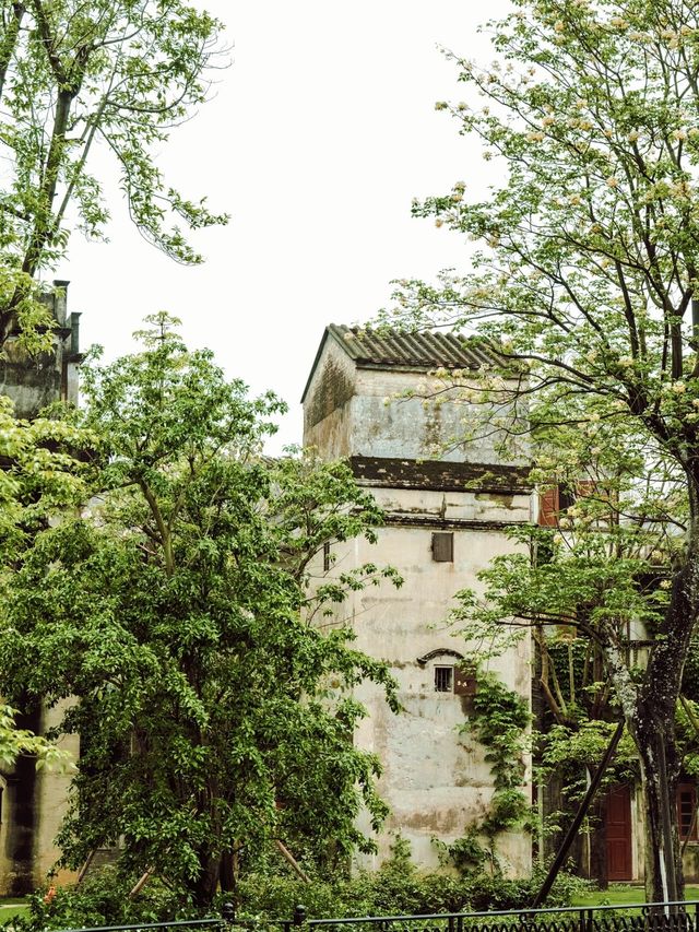 開平碉樓與村落 開平碉樓與村落