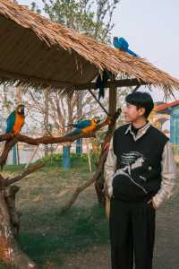 宿遷森迪自駕封神!開著車闖進動物狂歡局