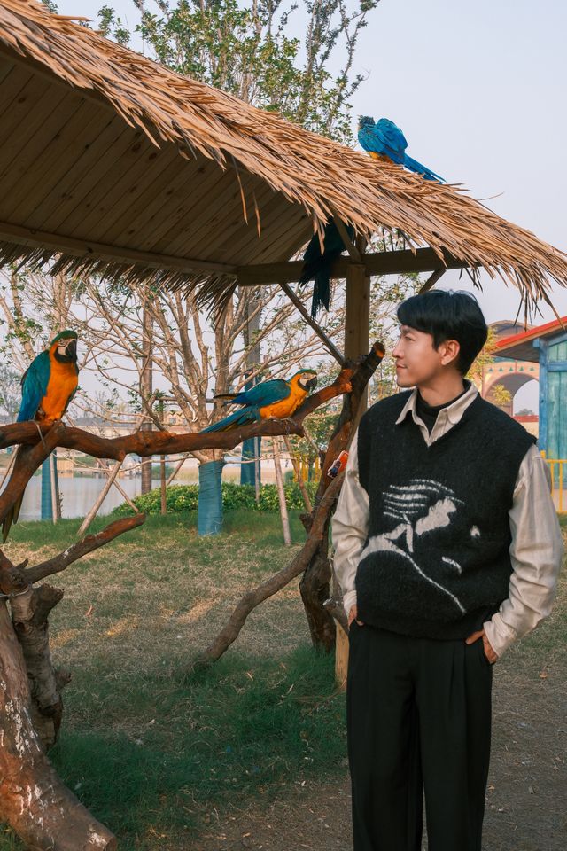 宿遷森迪自駕封神!開著車闖進動物狂歡局 宿遷森迪自駕封神!開著車闖進動物狂歡局
