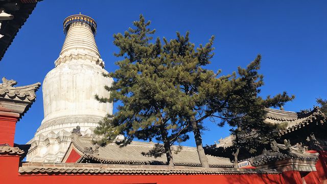 「朔州等地超嗨玩法，性價比爆棚啦！」