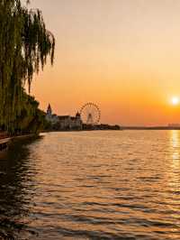 常德4日遊 | 桃花源與柳葉湖經典組合・全人群適配攻略