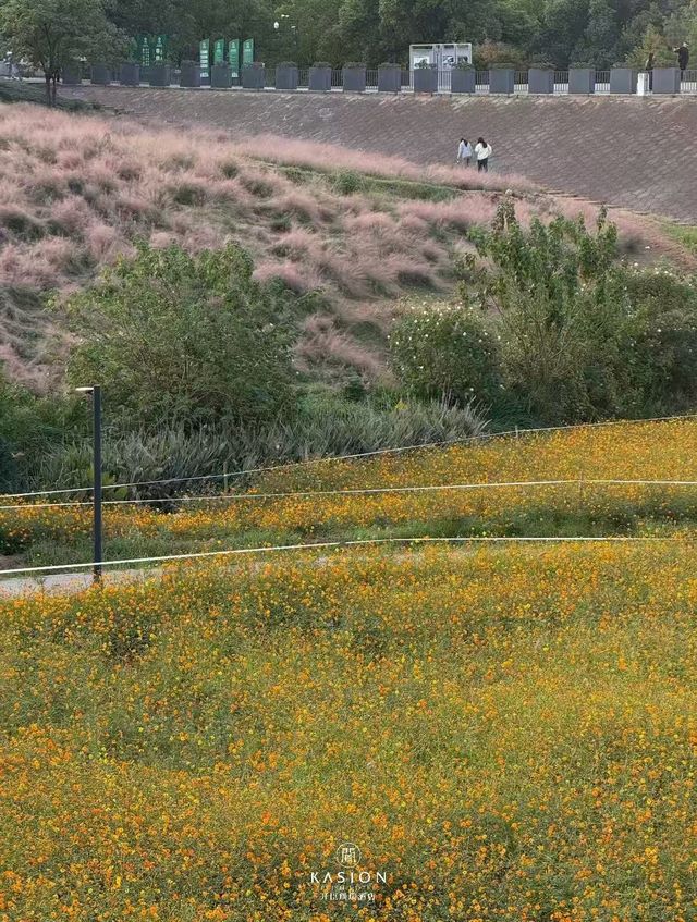 義烏開臣璞瑞&義烏植物園遊玩攻略 義烏開臣璞瑞&義烏植物園遊玩攻略